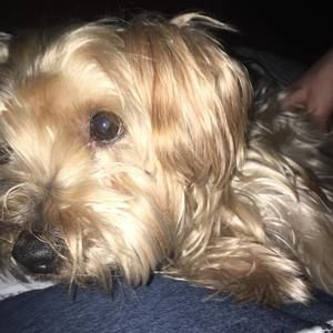 Meet your Posher, Nick